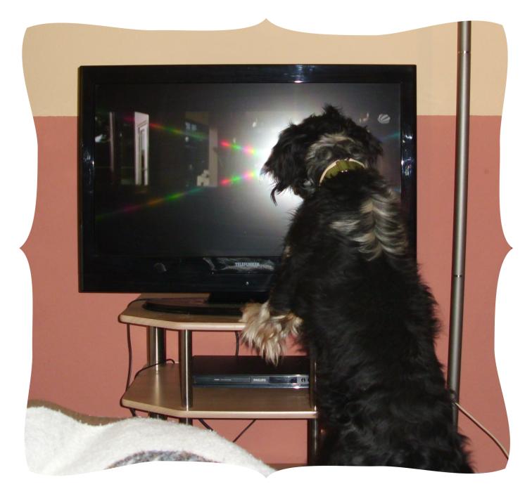 Fernseher1a.JPG